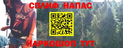 стафф Славгород
